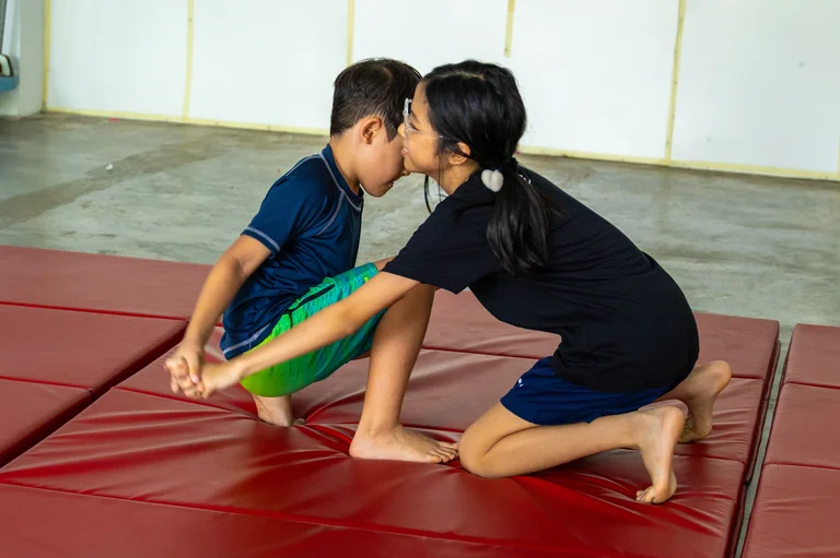 Brazilian jiu-jitsu