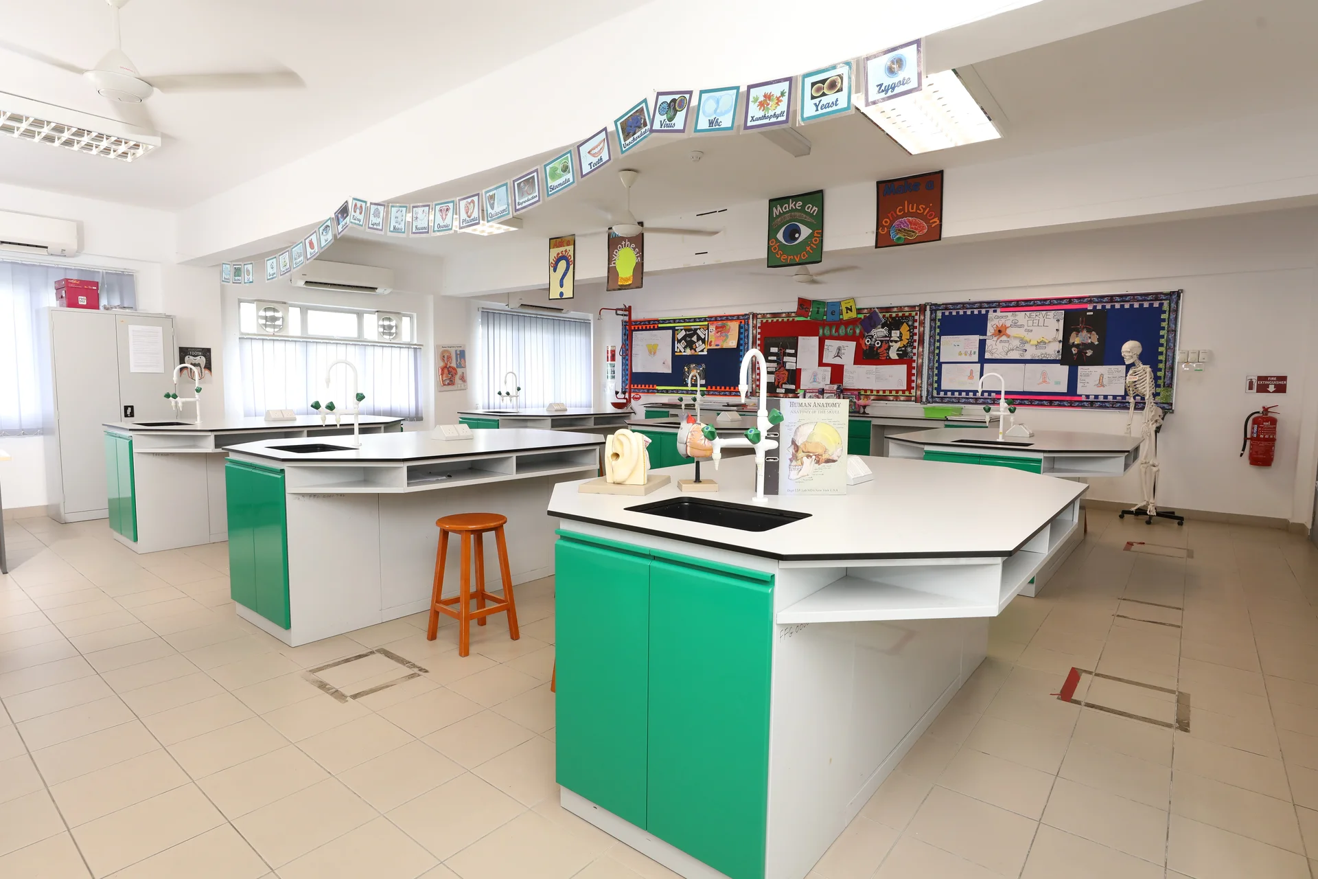 Our school