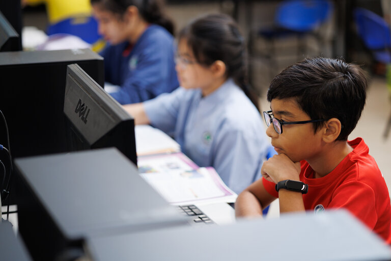 Young student looking at a computer screen